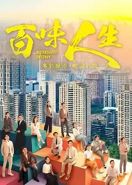山河故人电视剧海报